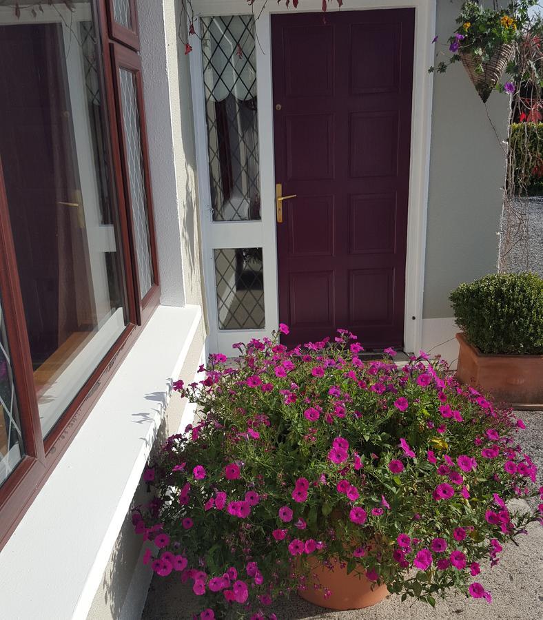 Ely House B&B Shannonbridge Extérieur photo