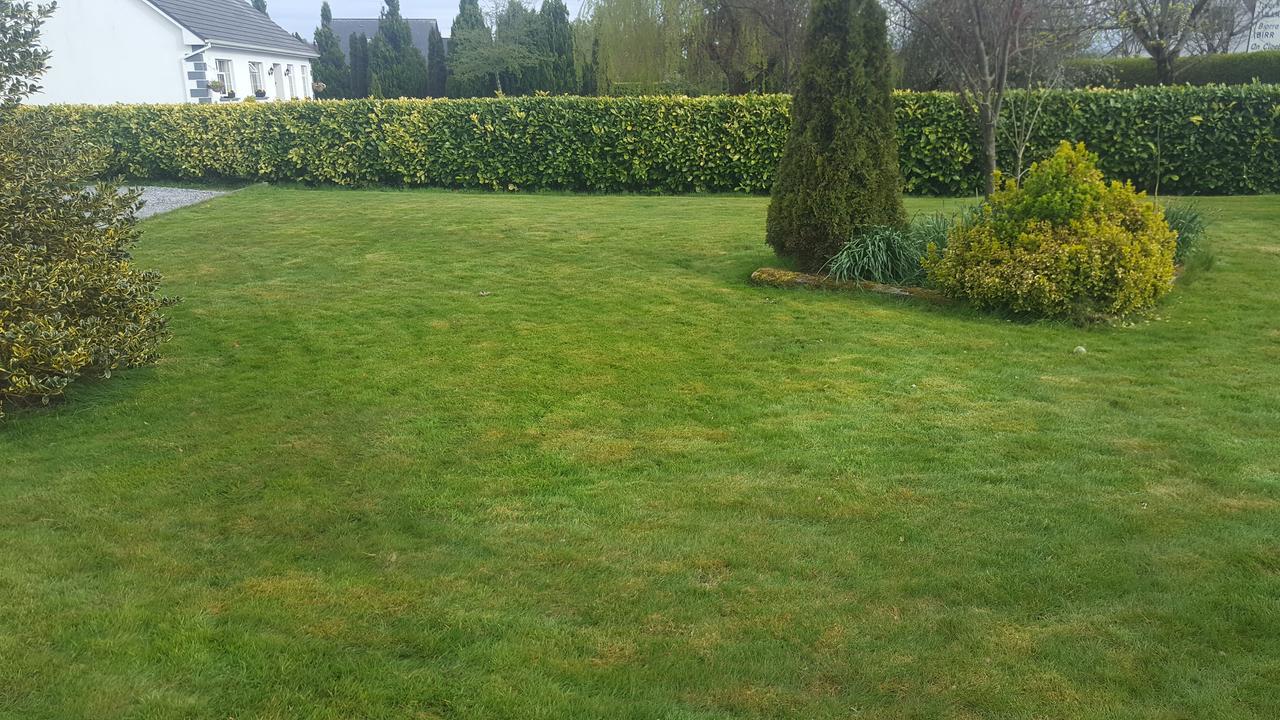 Ely House B&B Shannonbridge Extérieur photo