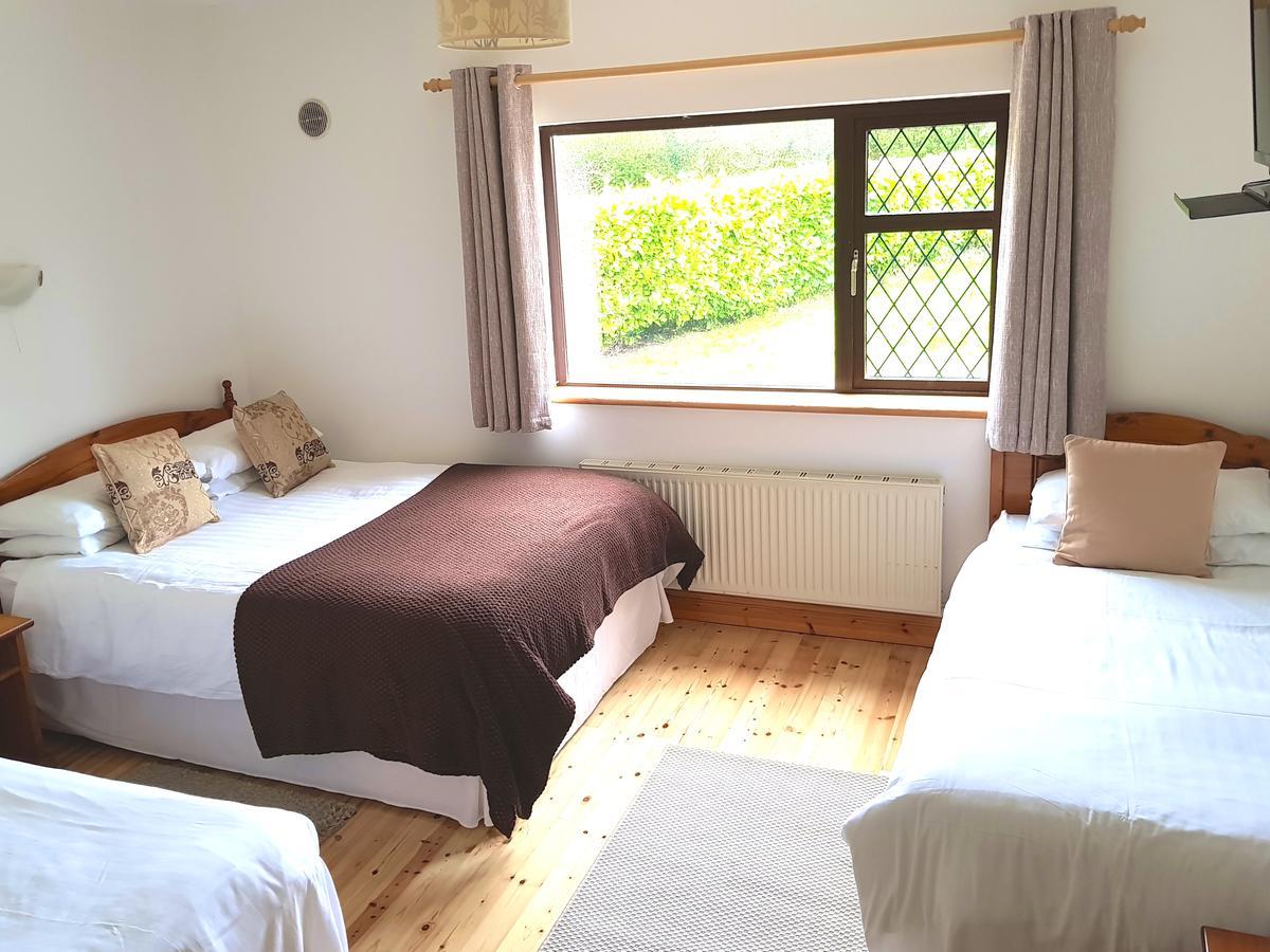 Ely House B&B Shannonbridge Extérieur photo